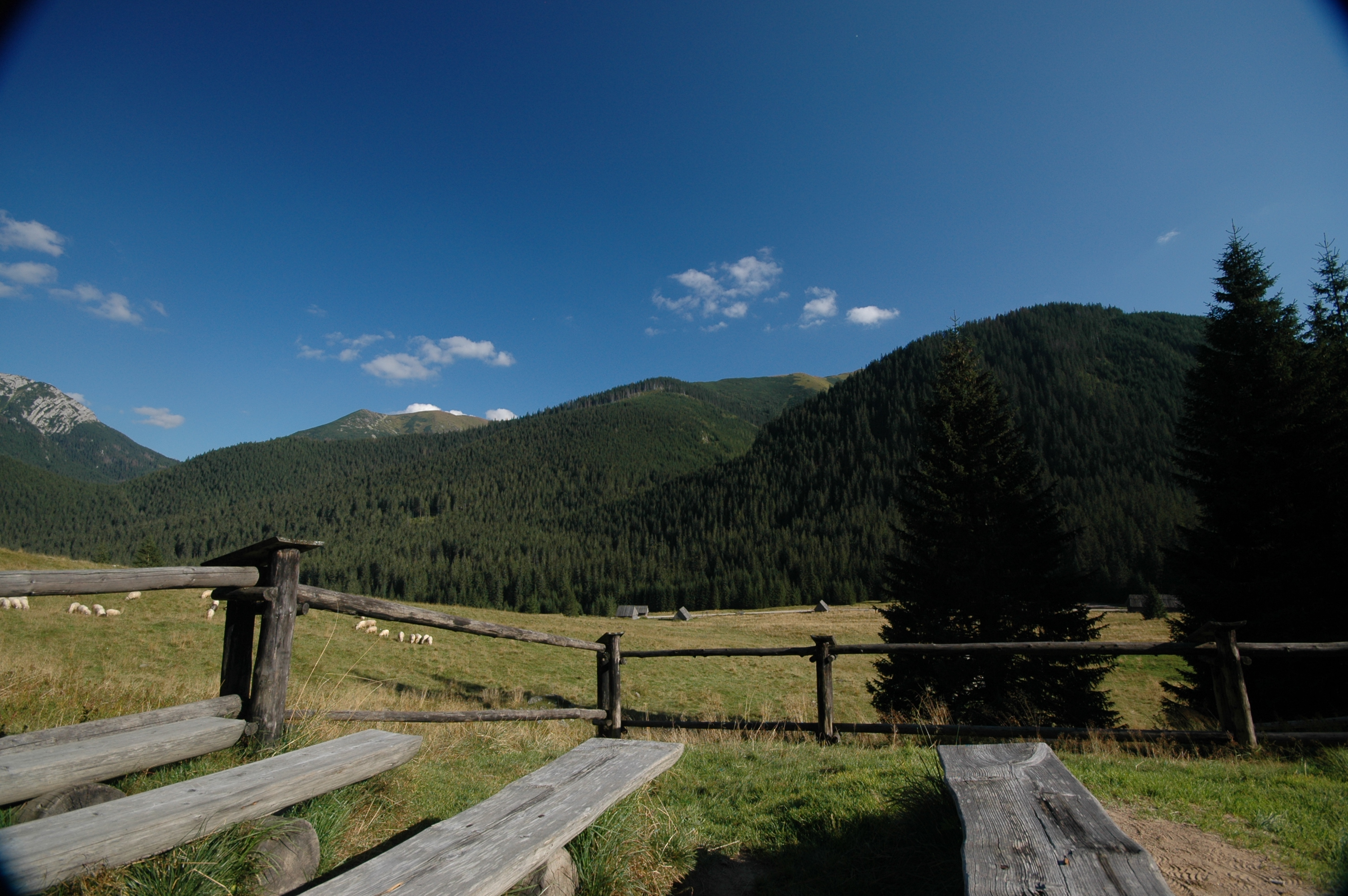 DSC_4622.JPG